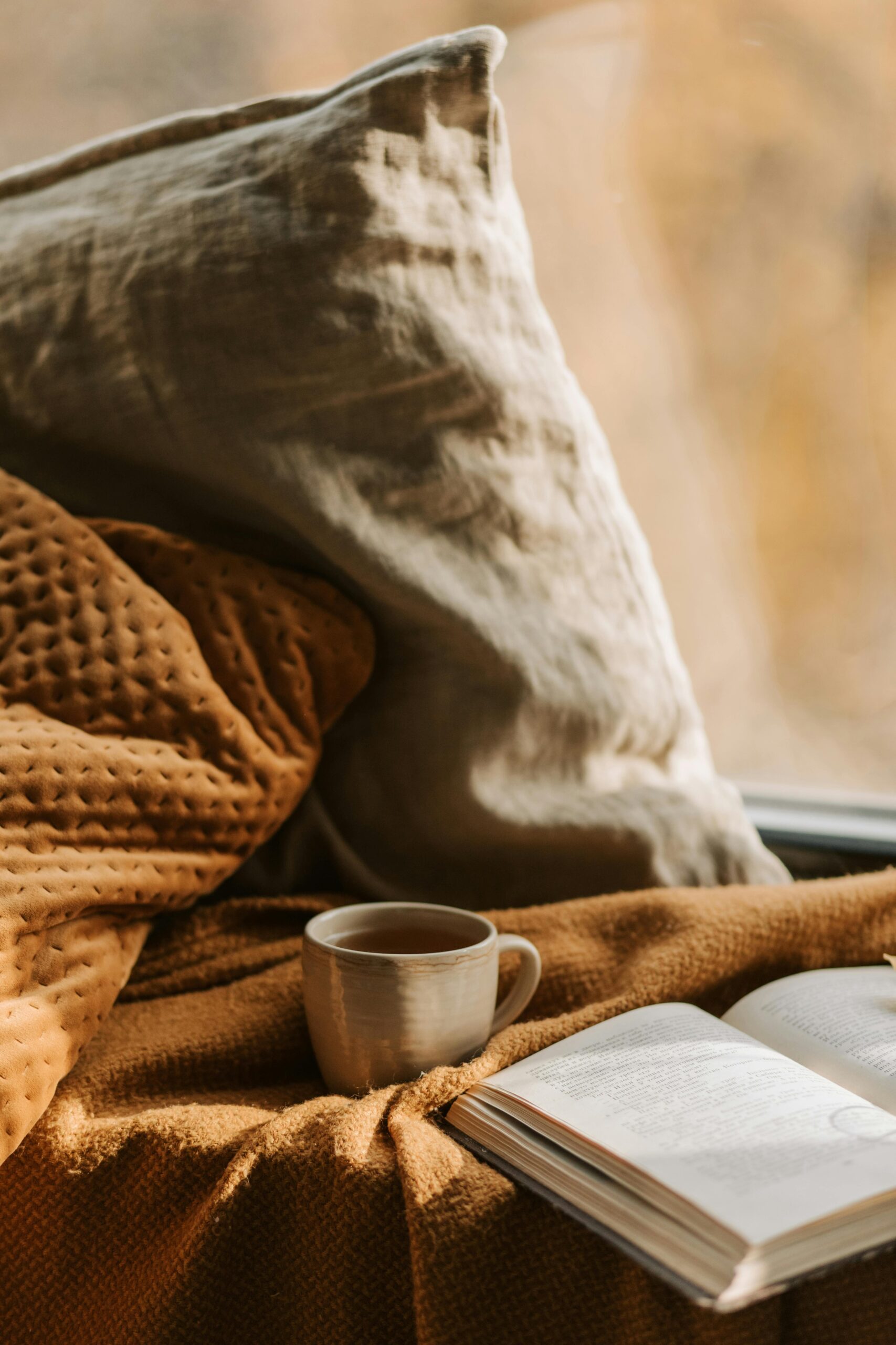 Warm and inviting interior scene featuring a cozy mug and open book on a blanket.